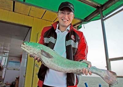 百斤大米魚議價2.5萬臺幣 盤點世界各類奇異恐怖的怪魚(組圖)